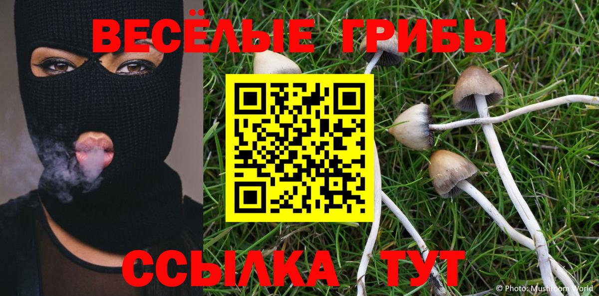Галлюциногенные грибы Cubensis  Вход с VPN  Артём  даркнет сайт  Галлюциногенные грибы мухоморы 